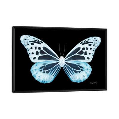 « miss papillon x-ray xxiv », impression sur toile