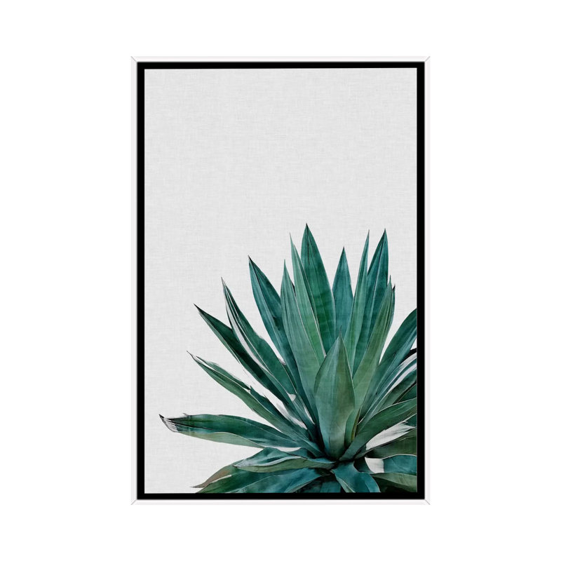 Agave Cactus by Orara Studio - Print on Canvas, 101.6 cm H x 66.04 cm W, White Framed