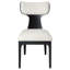Chaise d'appoint Aaryan (ensemble de 2)
