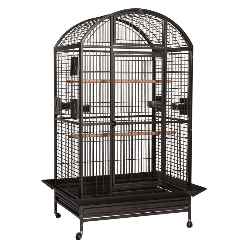 Cage XX XX, Extra Extra Large (75" H x 40" W x 30" D), Noir