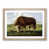 Oak Framed selected