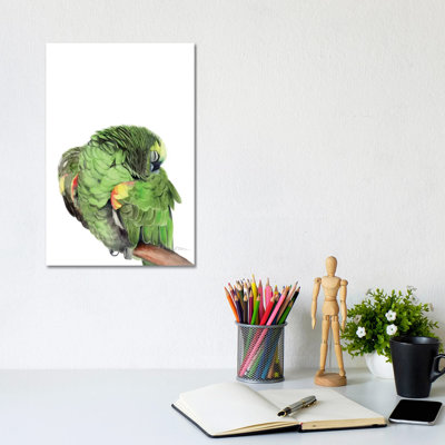 Sleeping Amazon Parrot by Watercolor Luv - Wrapped Canvas Print