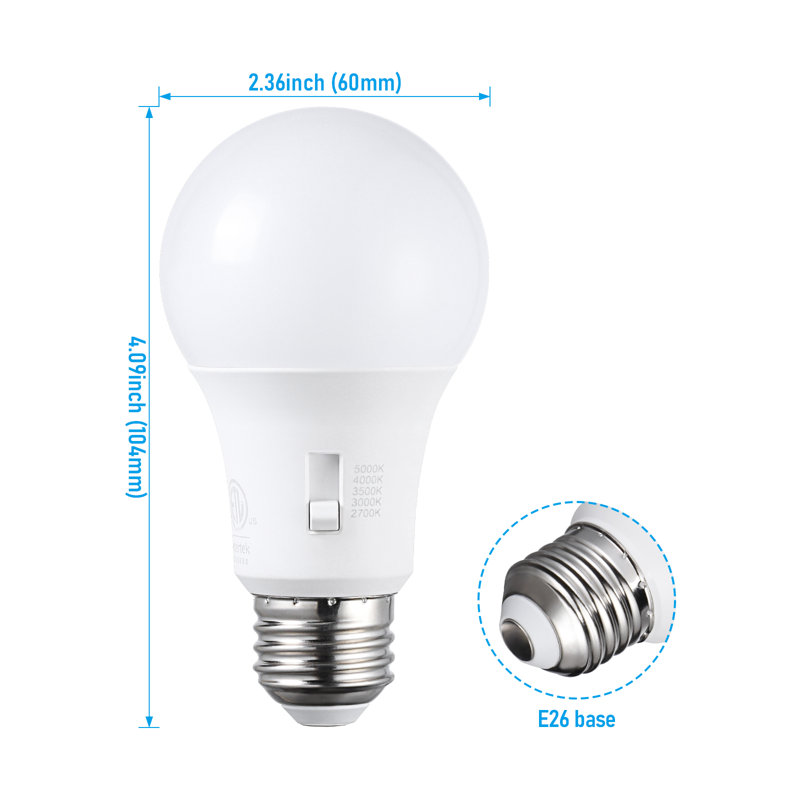 Ampoule DEL A19 5ct, à intensité variable, culot E26, 8 W, 2 700 K / 3 000 K / 3 500 K / 5 000 K / 5 000 K, 800 lm