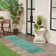 Nourison Essentials Blue/Green Indoor/Outdoor Area Rug
