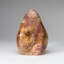 Polished Petrified Wood Freeform