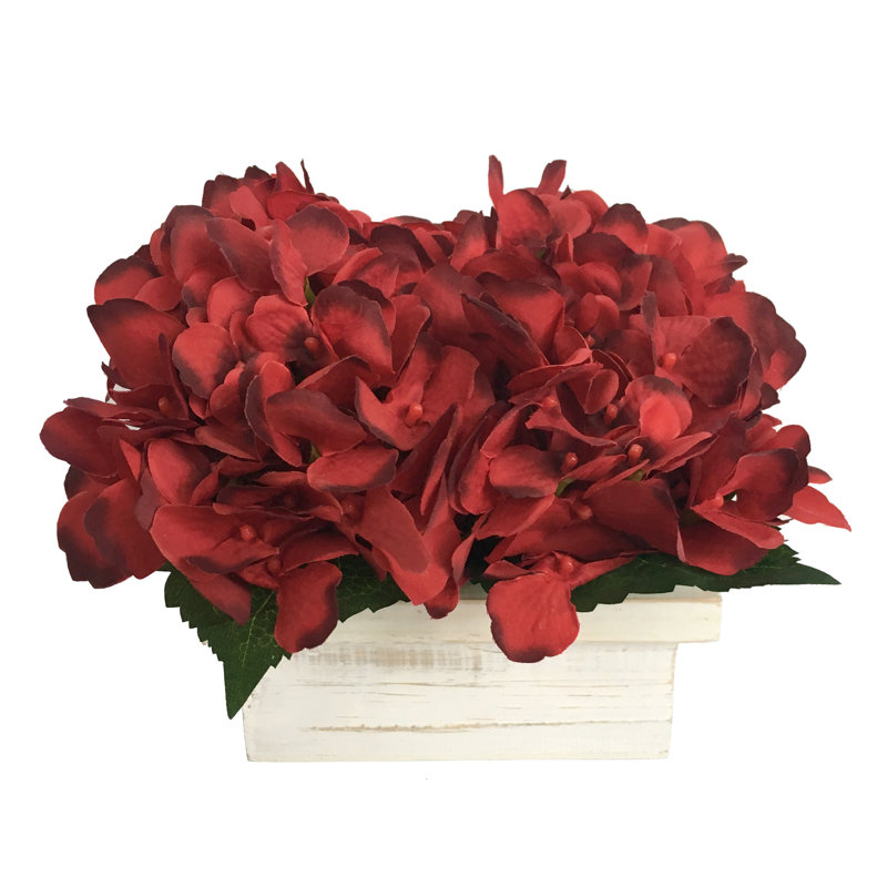 Hydrangea Arrangement in Pot
