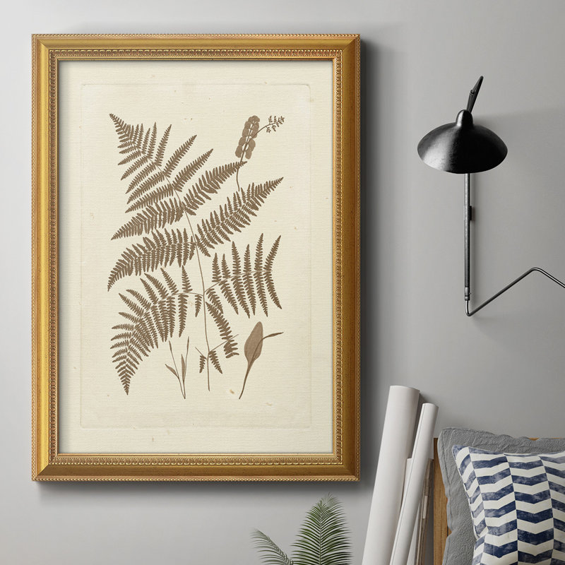 Sépia fougères I, toile encadrée de qualité supérieure - prête à être accrochée, H 20 po x l 16 po x P 2,5 po