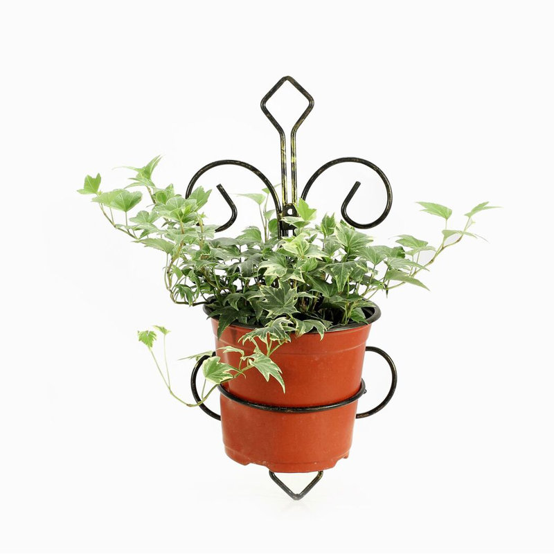 Colt Metal Wall Planter