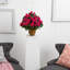 Arrangements floraux en pot