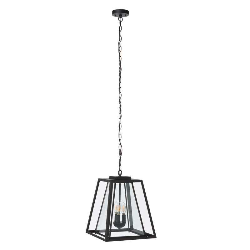 Rydler 16'' Black and Clear Glass Industrial Outdoor Pendant Light