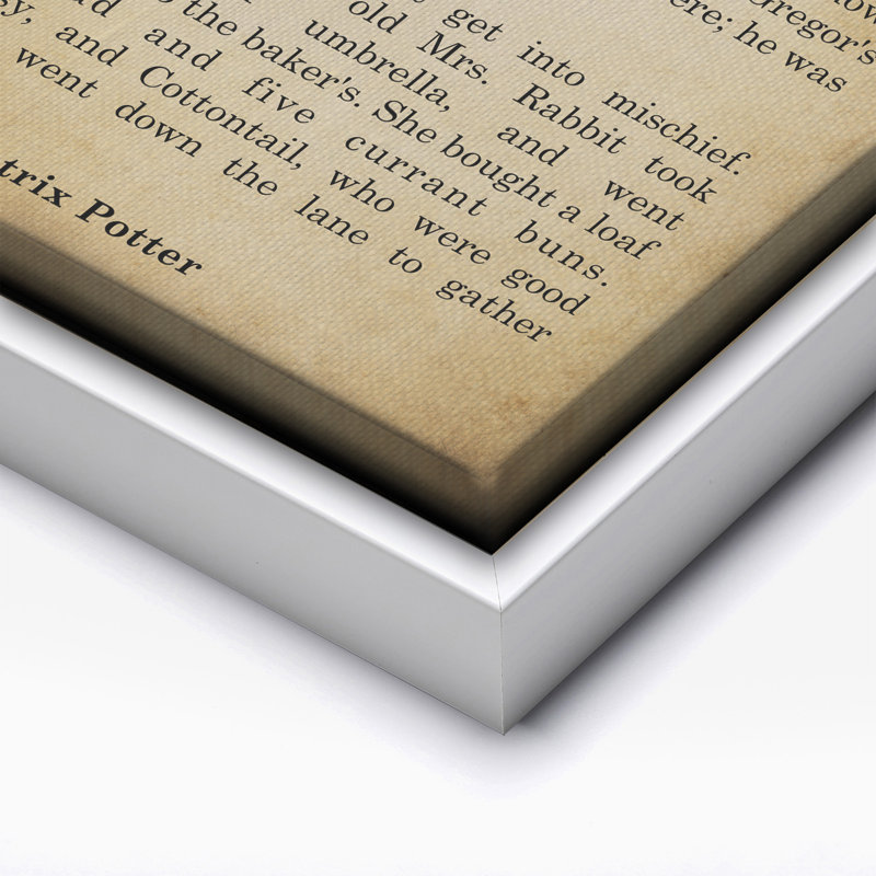 Beatrix Potter l'histoire de Peter Rabbit, Canevas, H 18 po x l 24 po, Encadrement blanc