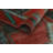 Boleslao Wool Oriental Indoor Rug