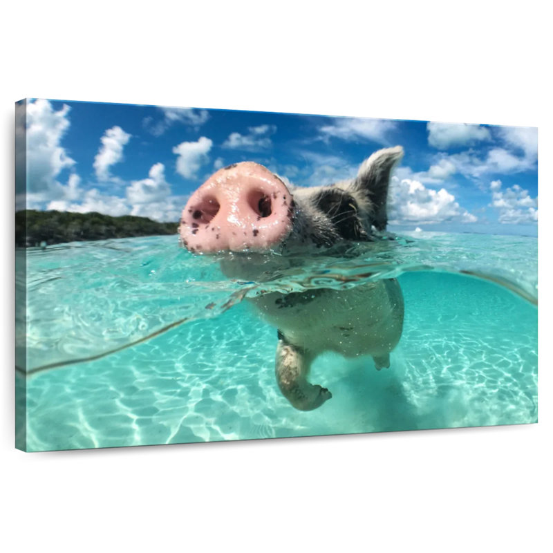 Brampt Swimming Pig, 8" H x 12" W