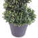 120cm Faux Boxwood Topiary in Pot Liner