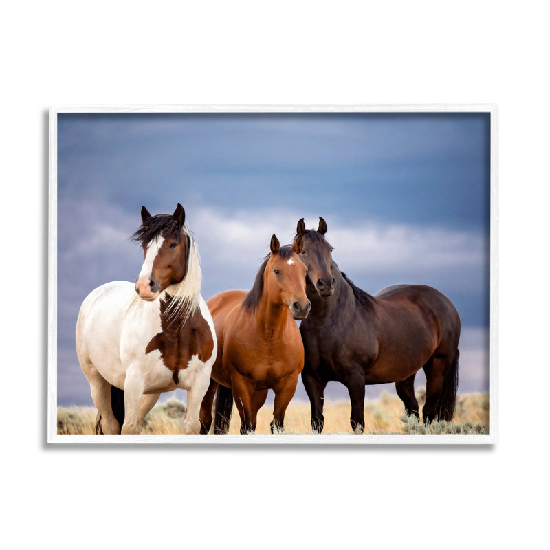 «Ba-334», encadré d'un trio de chevaux sous des nuages, encadré sur bois par PHBurchett, H 24 po x l 30 po x P 1,5 po