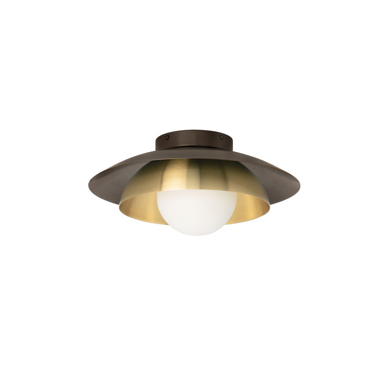 Carapace 1 - Light Pendant
