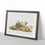 Four-Striped Ground Squirrels by J.W. Audubon - Framed Print-55577705-55577706