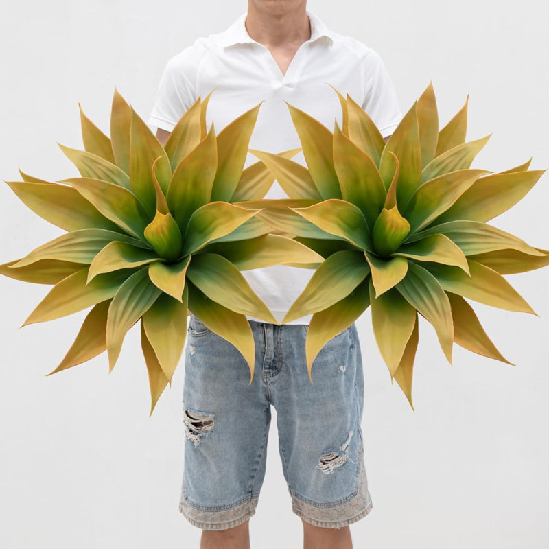 5.91cm Plant