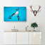 Swimming Penguin - Wrapped Canvas-55358357