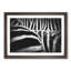 The Stripes of the Zebra - Picture Frame Painting Print-56712646-56712650