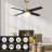 48'' Nova 4 Blades LED Smart Standard Ceiling Fan with Wall Control and Light Kit Included-874112749
