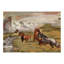 Cotton Tapestry