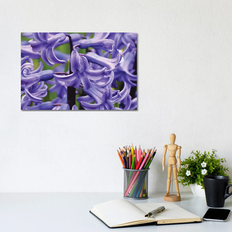 Hyacinths Up Close 1 Piece Wrapped Canvas Wall Art, 20.32cm H x 30.48cm W
