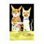 Sharyn Bursic Cats Dr potable Best Friends sur toile-550299688
