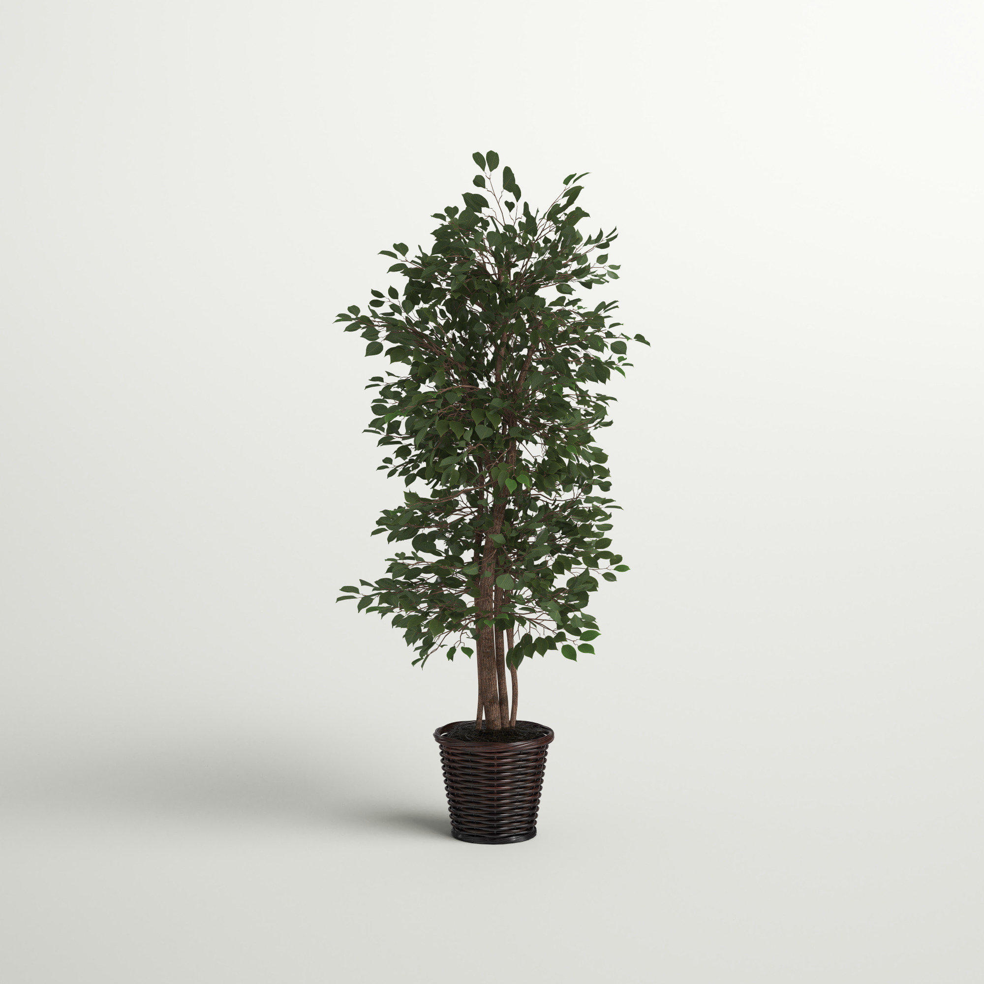 5 ft Realistic Artificial Ficus Tree in Pot, Natural Trunk, Lush Leaves,  Lifelike Faux Tree