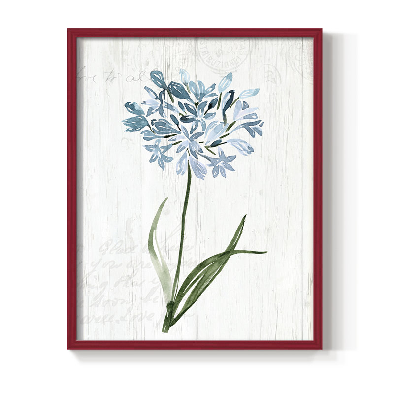 «Garden Botanical I», reproduction encadrée - bois massif, H 15 po x l 12 po, Rouge