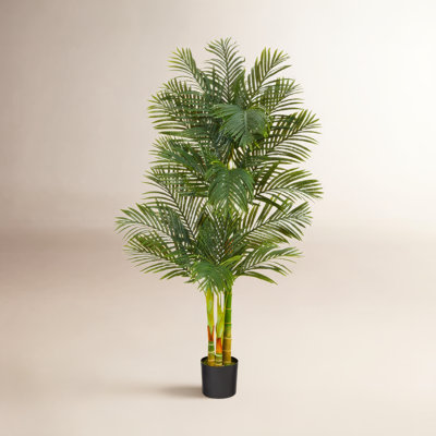 72" Tree in Planter