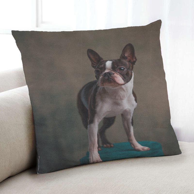 Coussin Dogs Dogs 30, Microsuède