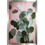 Sauge eucalyptus n ° 1 par Lupen Grainne - Peinture-1198490918-1198490917