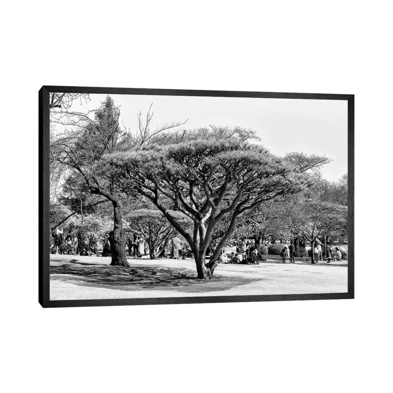 Japanese Tree by Philippe Hugonnard - Floater Frame Print on Canvas, Black Framed