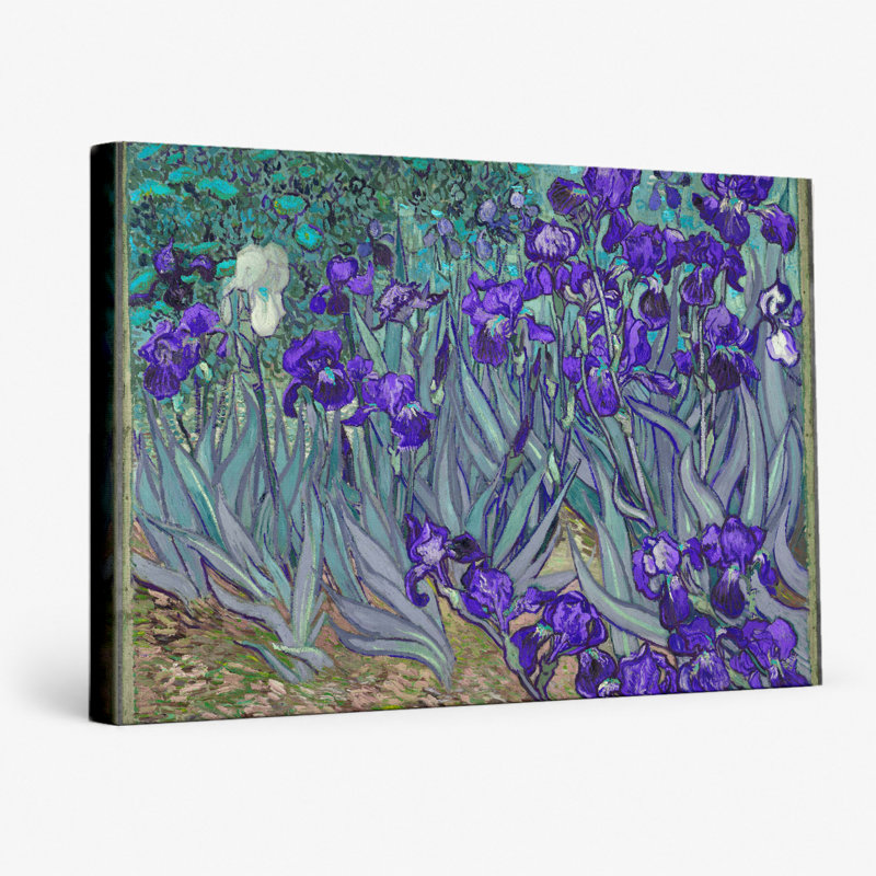 Iris (1889) - Paysage, art mural sur toile, 20" W x 16" H