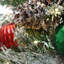 The Holiday Aisle® 30" General Store Frosted Wreath with LED Lights