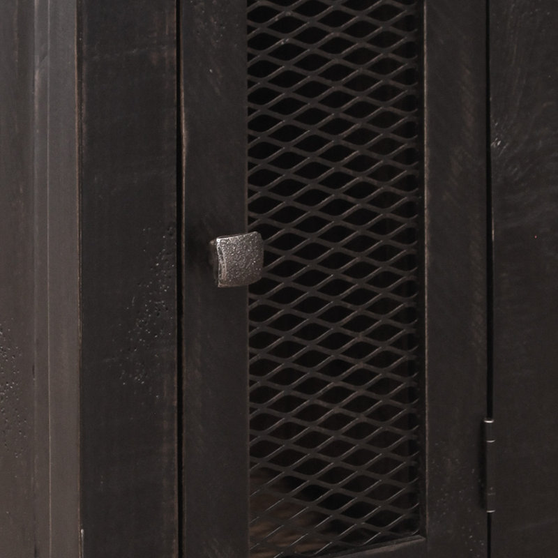 Dansby 1 Mesh Door Accent Cabinet, Black