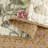 Beige/Red Cotton Reversible Quilt Set-845406716