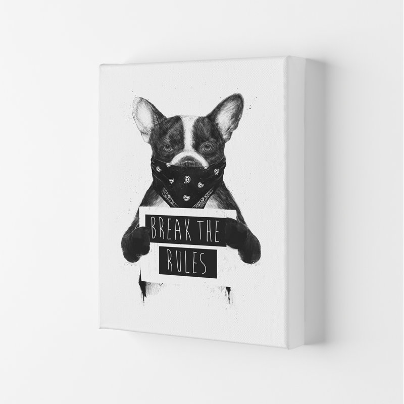 Rebel Bulldog by Mercedes Lopes Charro - Single Picture Frame Rectangle Print, 42cm H x 29.7cm W x 4cm D, Wrapped Canvas
