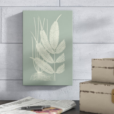" Ferns On Sage II " by Vision Studio Painting Print