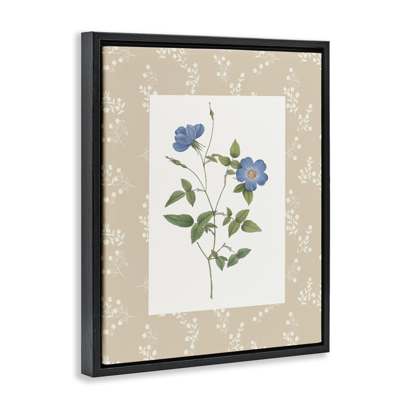 Cadre flottant rétro avec plaque botanique, design par Val Rhodes, Cadre flottant noir de jais, H 31 po x l 25 po