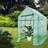 Greenhouse-98168461-98168460