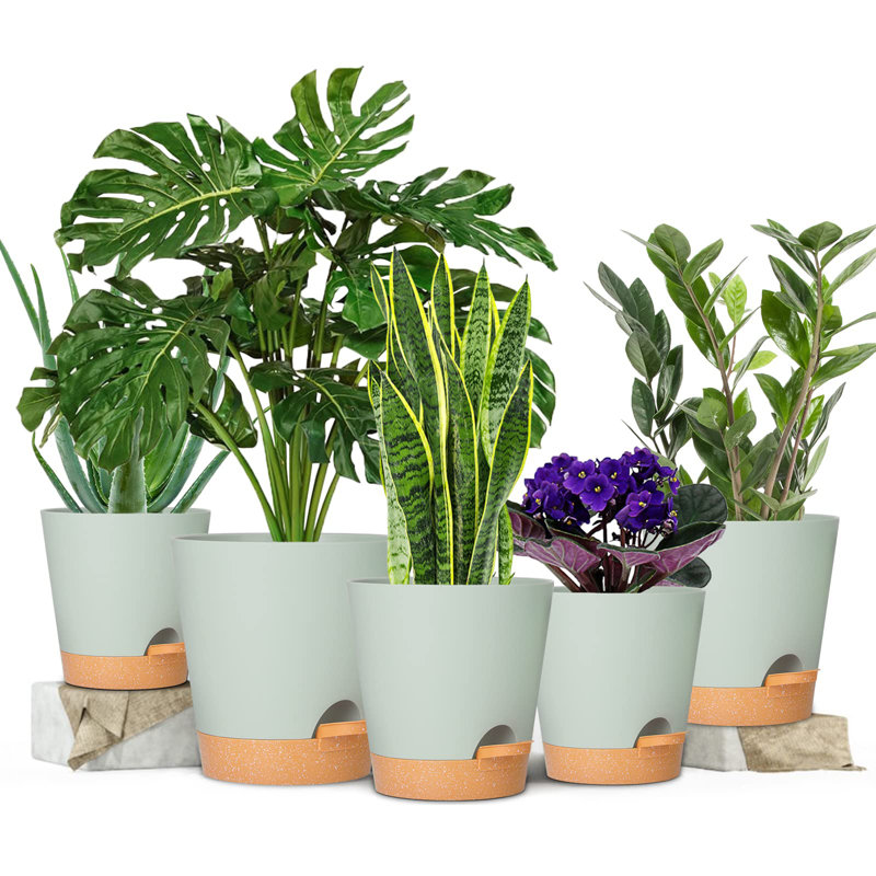 Plant Pots with Drainage Hole, Green
