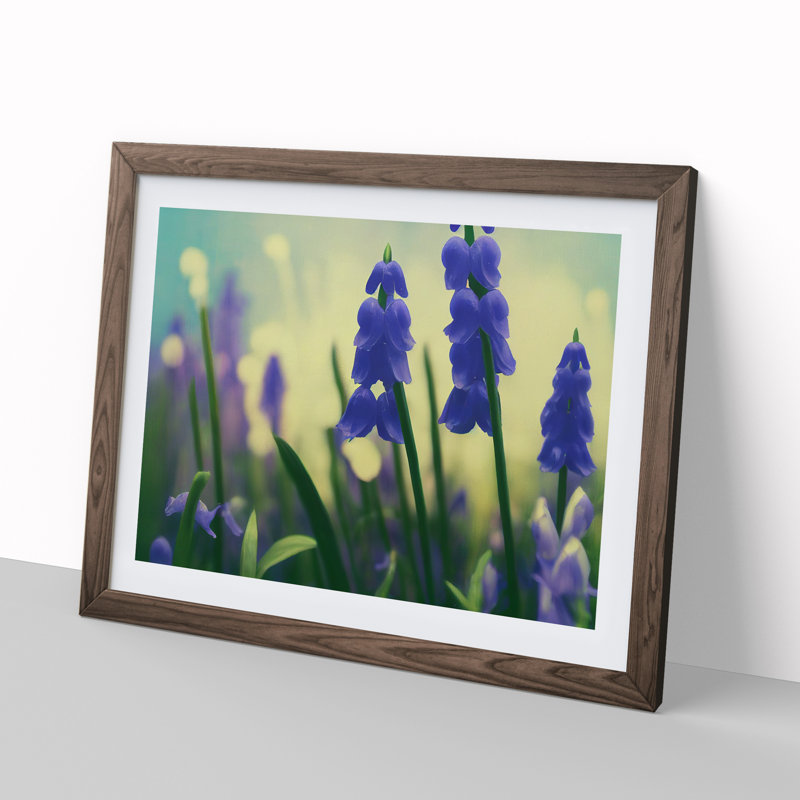 Bluebell Flower Vol.3 - Single Picture Frame Print, 46cm H x 64cm W x 2cm D, Walnut Framed