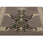 Rug & Kilim’S Distressed Tiger Rug In Taupe-Brown With Beige And Black Pictorial