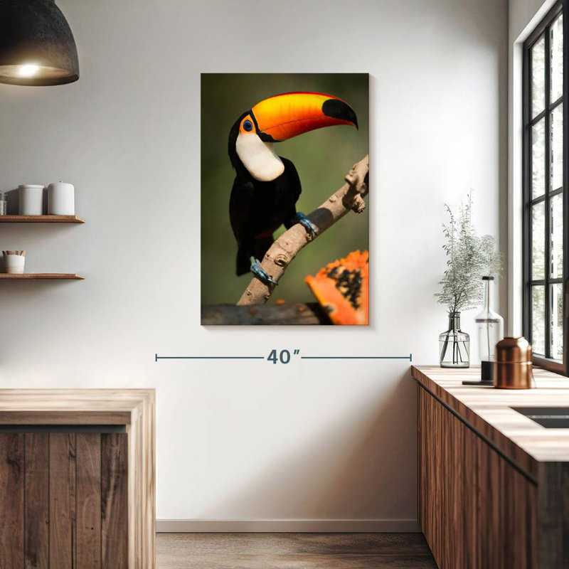 Adorable Toucan, H 39 po x l 26 po