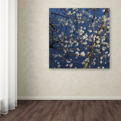 Springtime at the Lake Photographic Print on Wrapped Canvas
