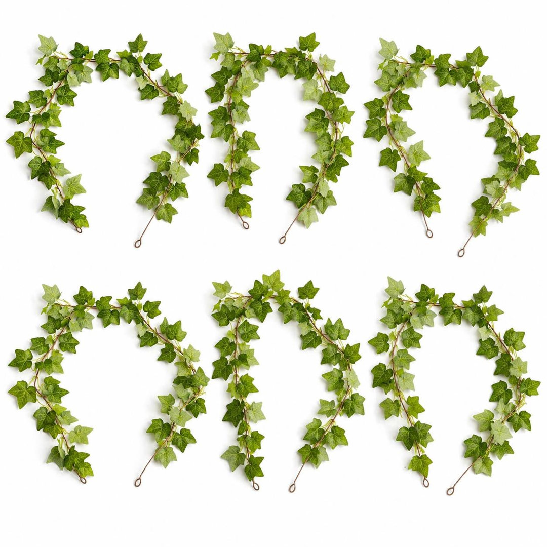 160cm Plant