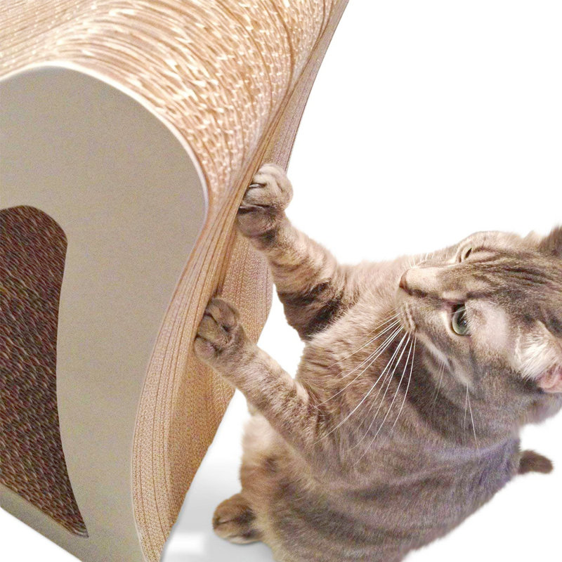 Einstein Scratching Post