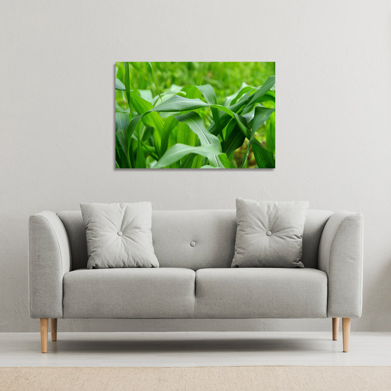 No Title by Andrew Lee - Wrapped Canvas Print, 61cm H x 41cm W x 4cm D